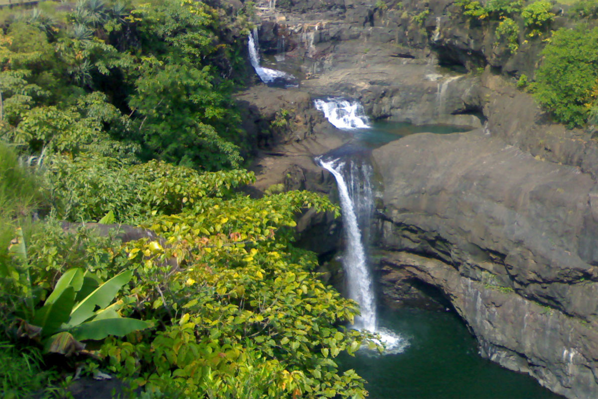Banner Image 1