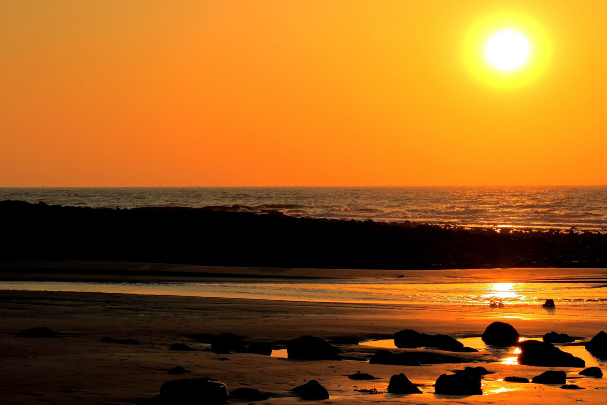 Banner Image 1